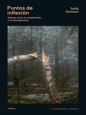 cover image of Puntos de inflexión